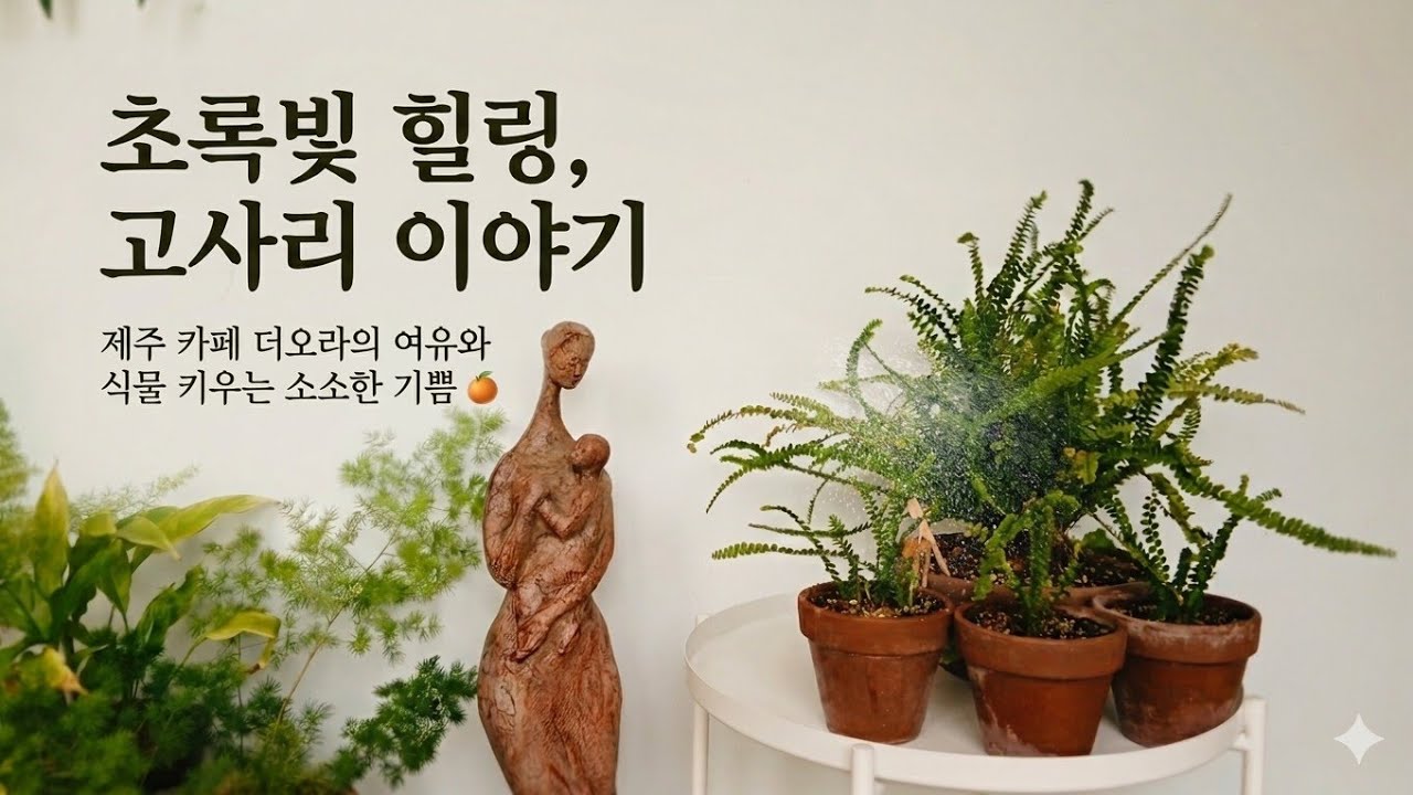 고사리 킬러 탈출! '더피 고사리' 절대 안 죽이는 분갈이 공식