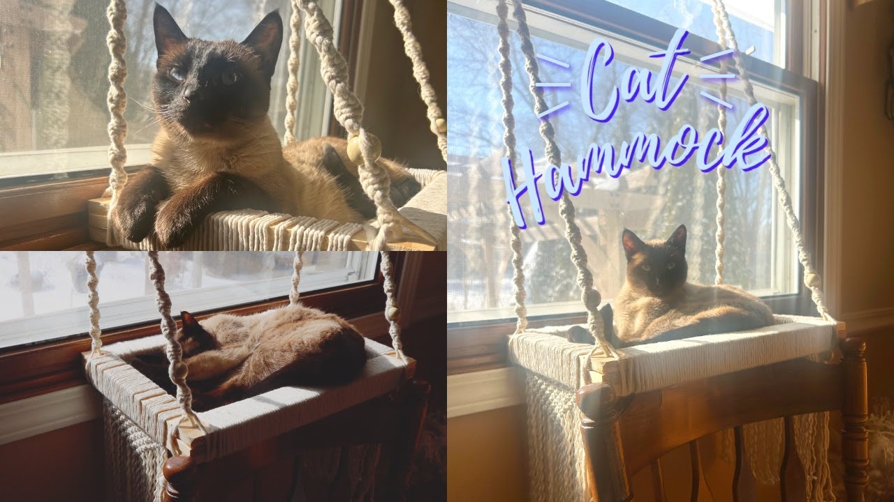 DIY Macrame Cat Hammock | How to Make a Cat Window Perch