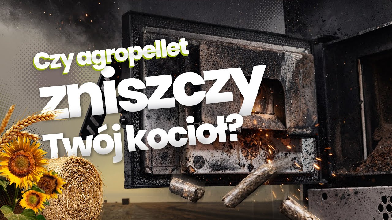 Owies i słoma zamiast pelletu? Sprawdź, czym to grozi.