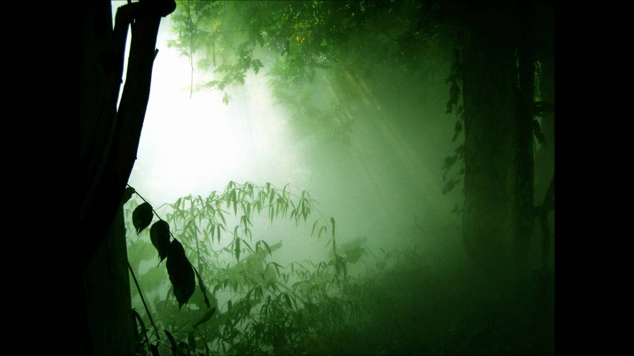 Magashegyi Underground - Zöld erdőbe (MR2 akusztik)