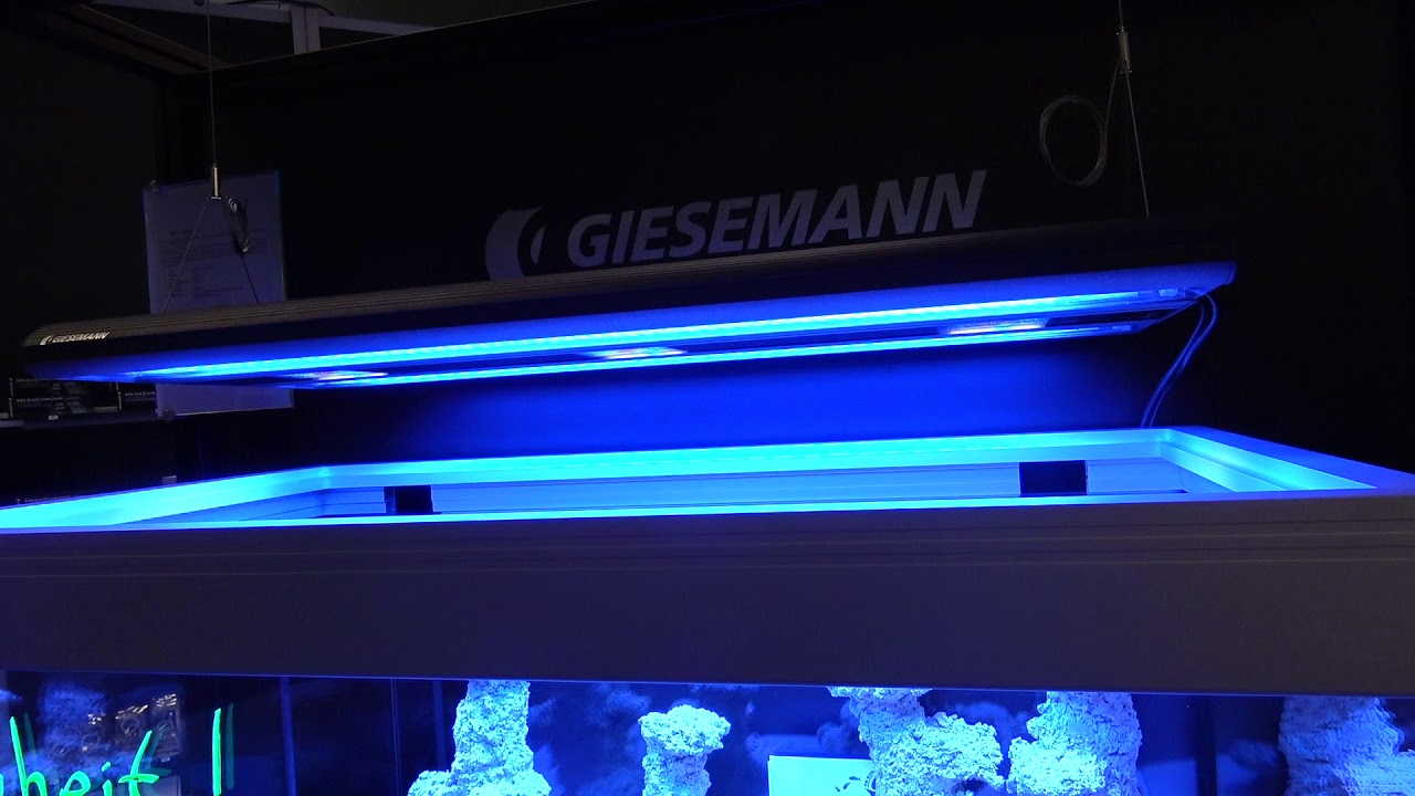 Giesemann: die neue Gemini Hybird Leuchte LED/T5