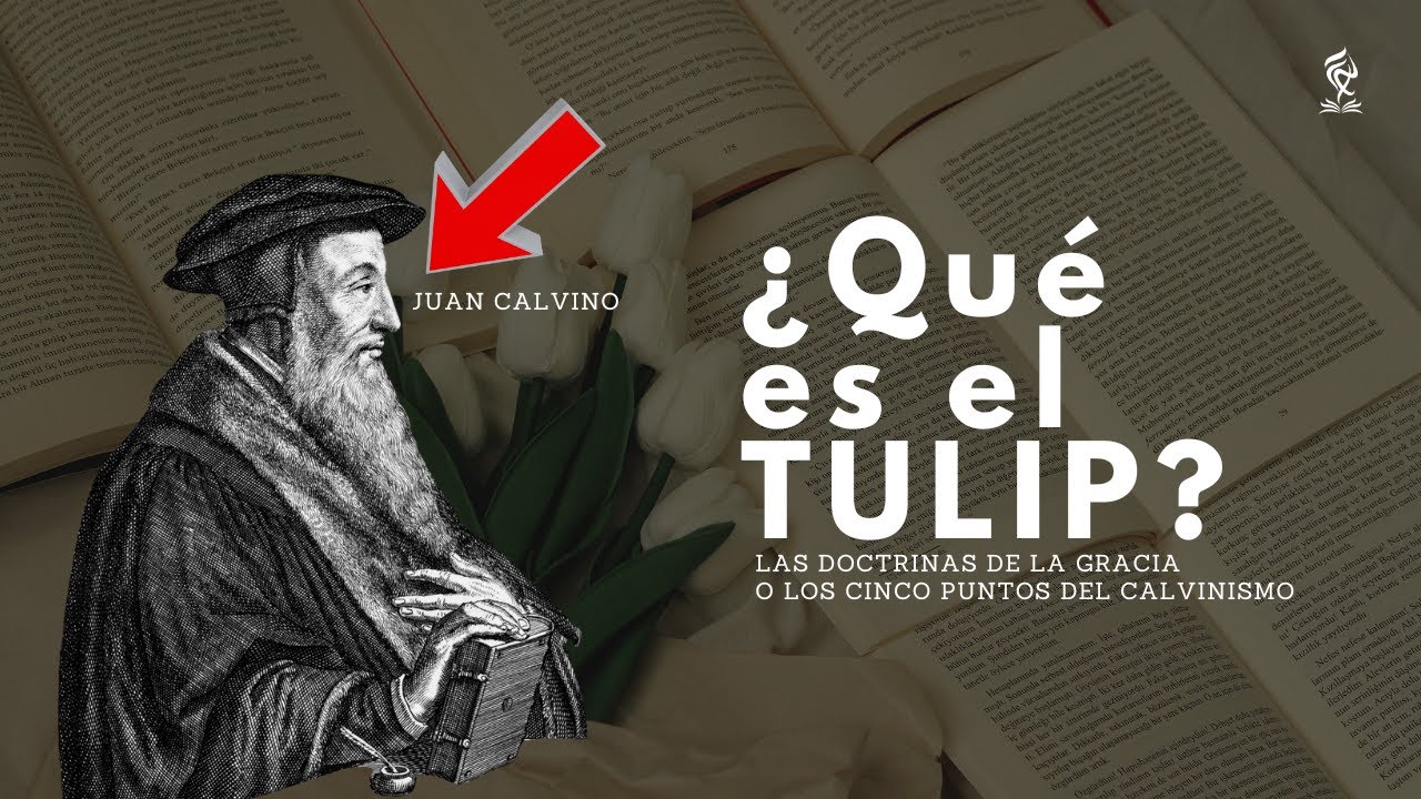 ¿Qué es el TULIP? - LAS DOCTRINAS DE LA GRACIA - CALVINISMO