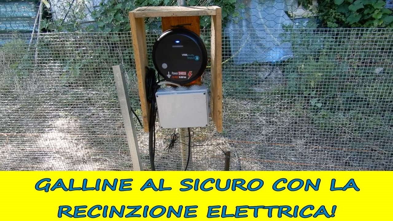 Recinzione elettrica VOSS.Farming per il POLLAIO. Contro volpi e faine!