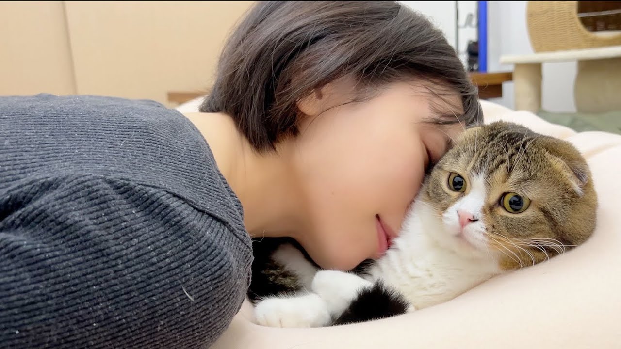 洗いたてふわっふわの猫まくらが最高すぎた！