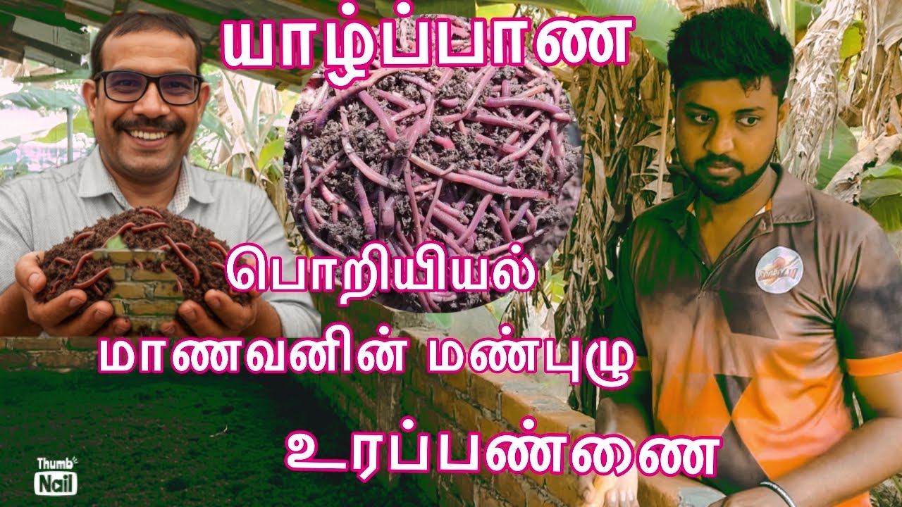 🪱யாழ்ப்பாண பொறியியல் மாணவனின் மண்புழு உரப்பண்ணை|Best Worm Composting Farm for Engineering Students 