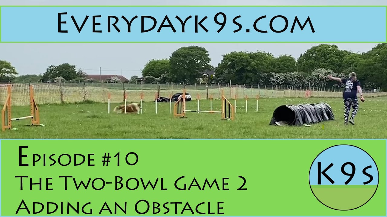 Distance Handling 101 - Foundation Skills: Episode 10 - Two Bowl Game with an Obstacle
