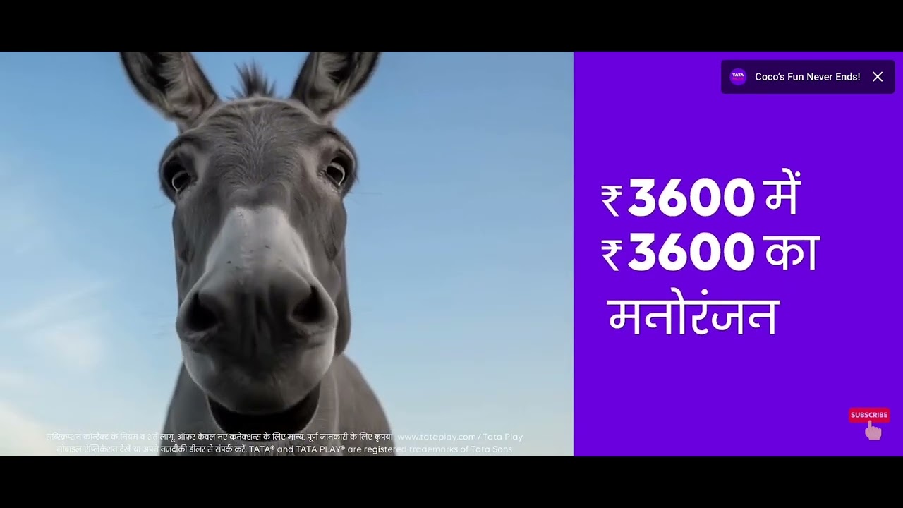 Tataplay New Connection lll Shyam DTHs lll Shyam Chauhan lll