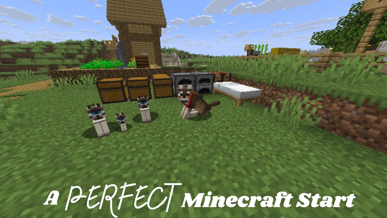 A Chill Vanilla Minecraft series | Vanilla Minecraft Episode #1