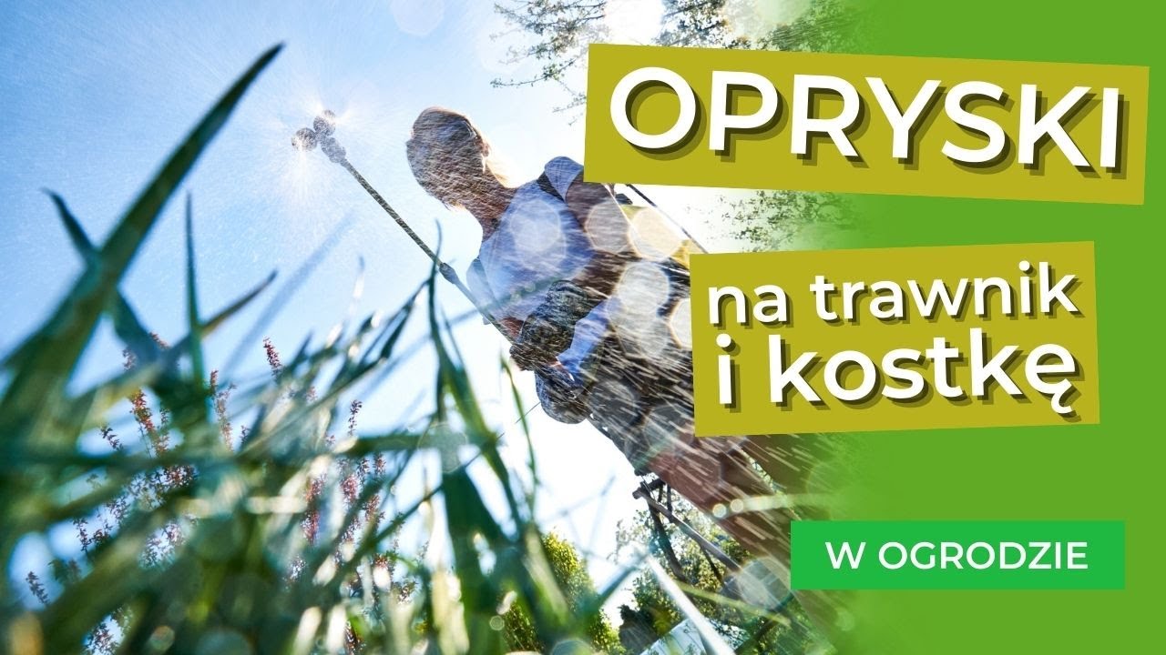 OPRYSKI - jak skutecznie pozbyć się chwastów z kostki i trawnika