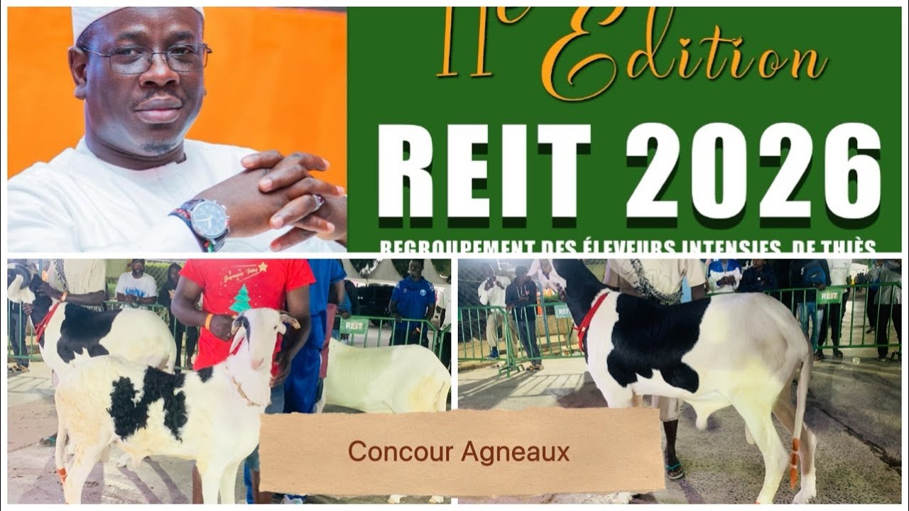 En Direct Foire Reit 2026 CONCOURS AGNEAUX