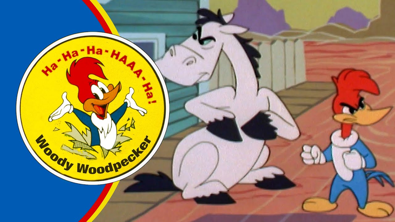 Woody Saves HIs Best Friend | 2.5 Hours of Classic Episodes of Woody Woodpecker