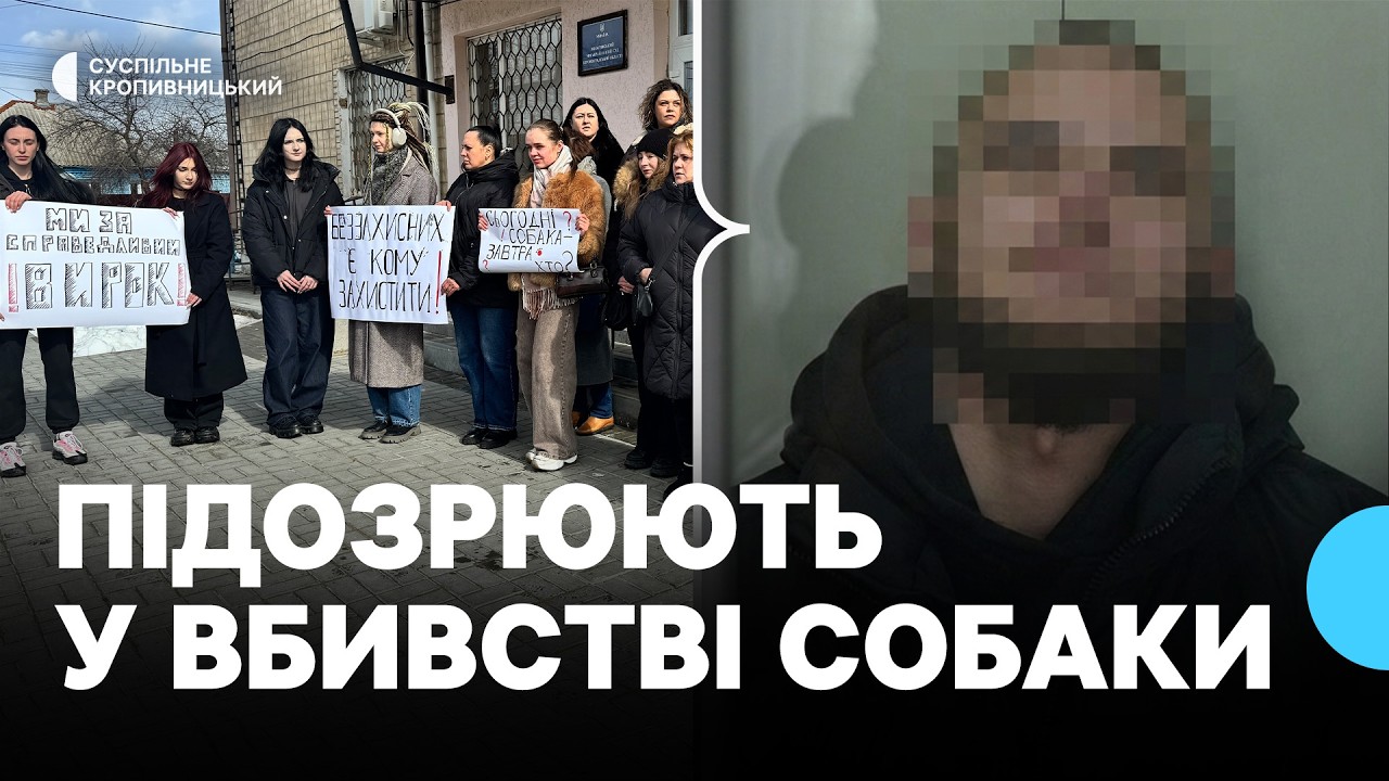 На Кіровоградщині продовжили тримання під вартою підозрюваному у вбивстві собаки