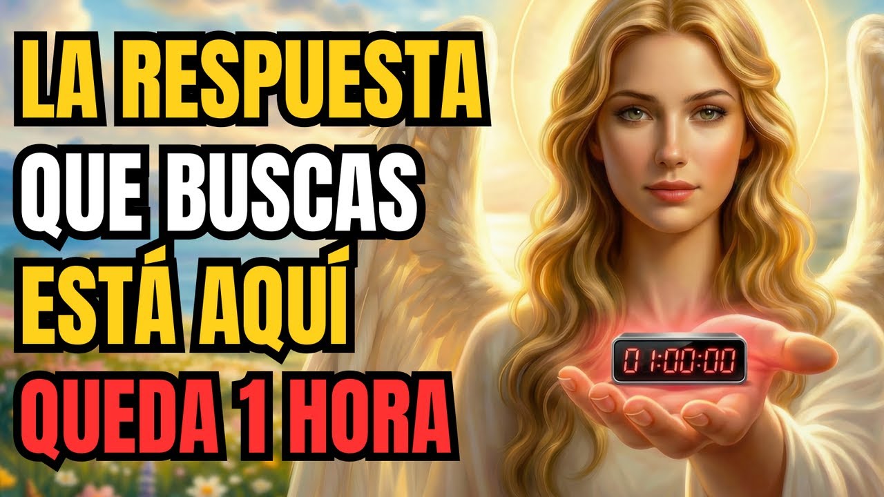 LOS ÁNGELES ADVIERTEN: EN 1 HORA RECIBIRÁS LA RESPUESTA QUE CAMBIARÁ TU VIDA ✨