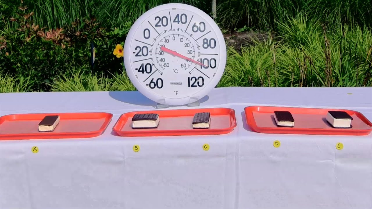 Science Behind Walmart's &lsquo;Non-Melting&rsquo; Ice Cream | Consumer Reports