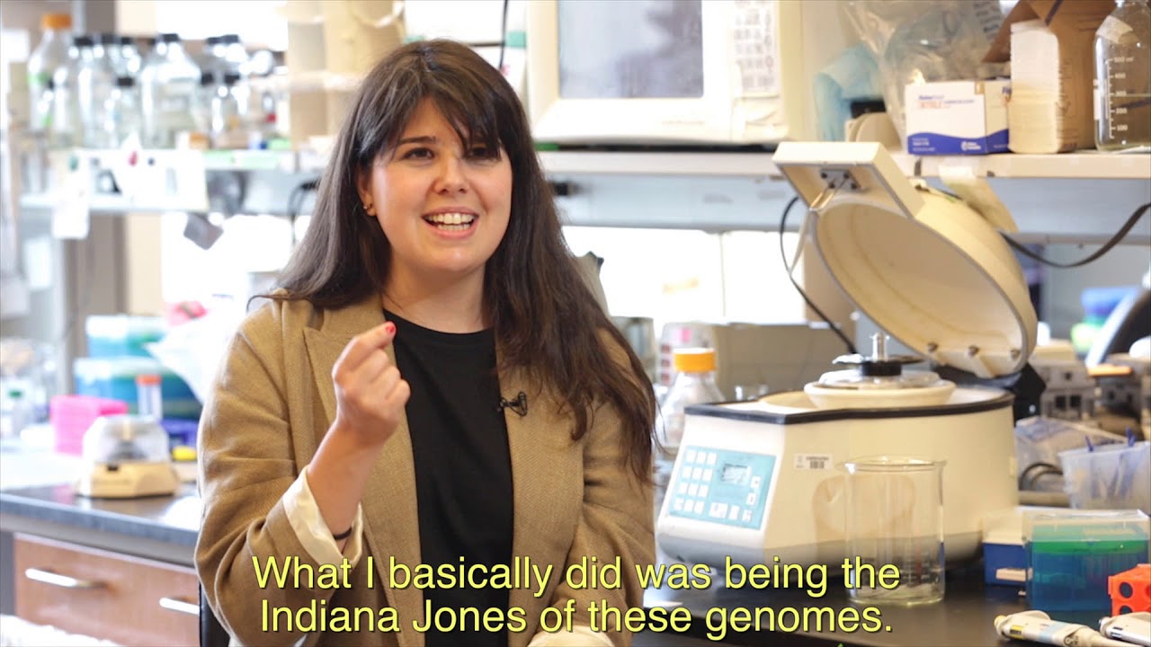 Olivia Mendivil Ramos: Rebuilding the genome history