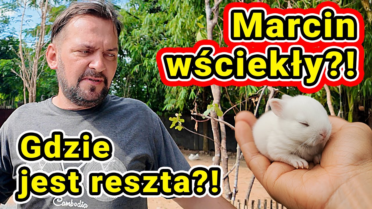 Marcin wściekły! Zaniedbane króliczki?! Jeden ocalał… a gdzie reszta?! 😱🐇 #285