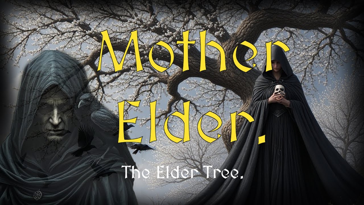 Mysteries of the Elder tree. 