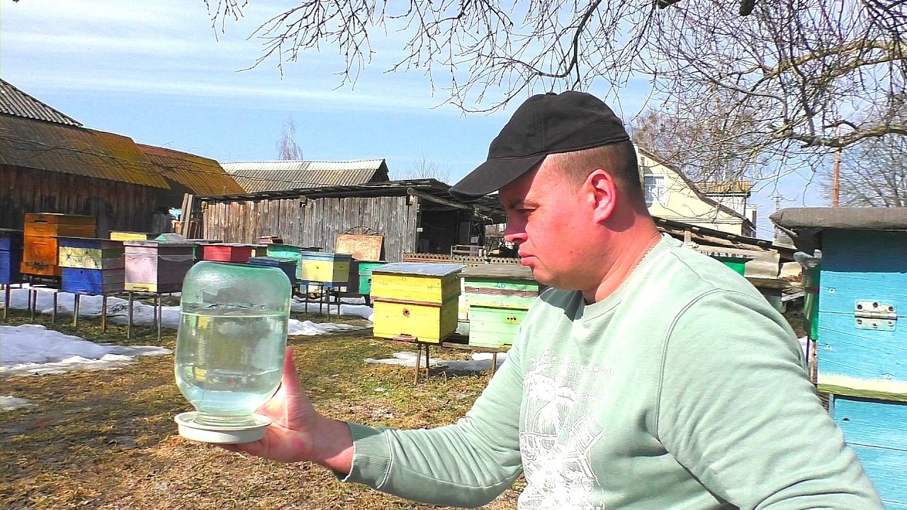 Пчёлы не идут на воду? Как их спровоцировать на это?