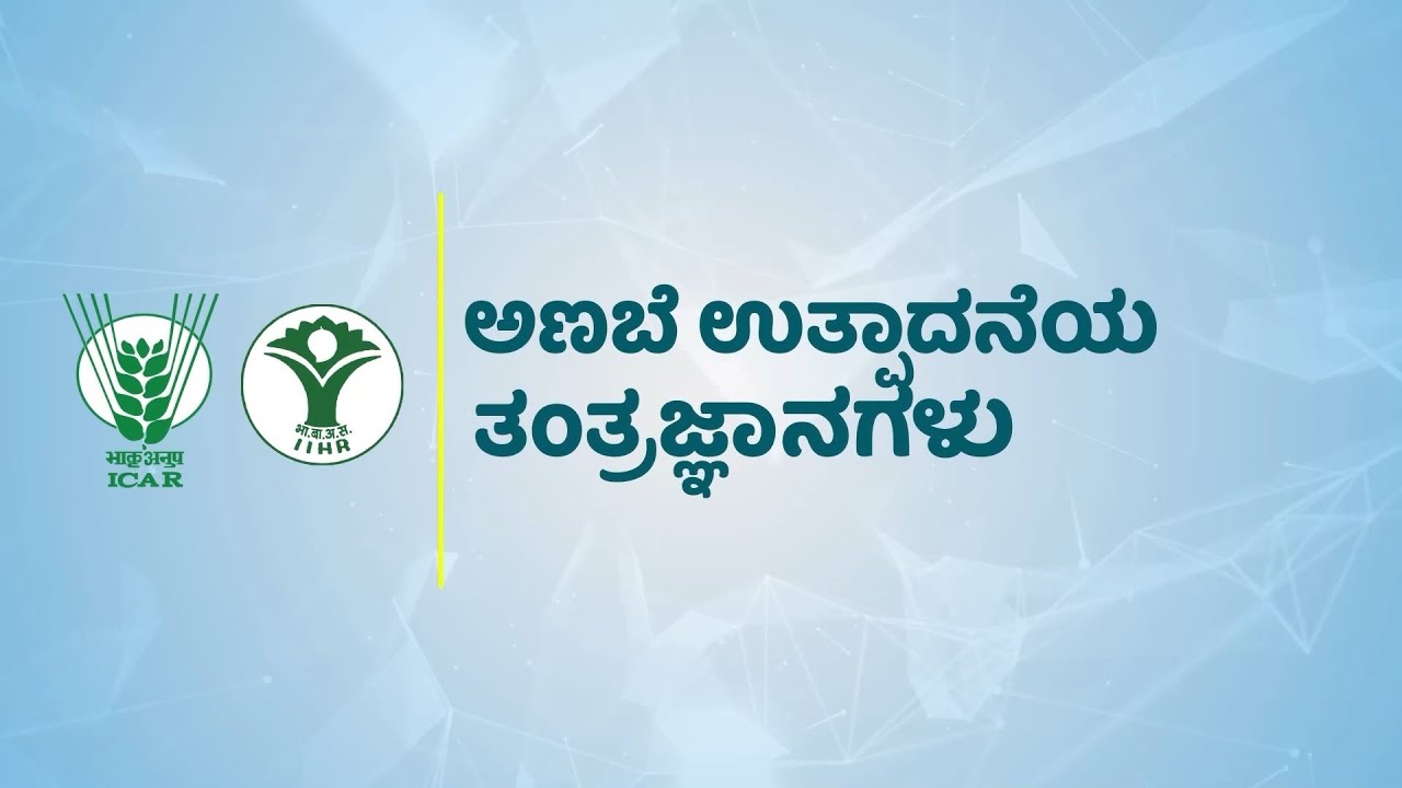ಅಣಬೆ ಉತ್ಪಾದನೆಯ ತಂತ್ರಜ್ಞಾನಗಳು | Mushroom Production and Technologies
