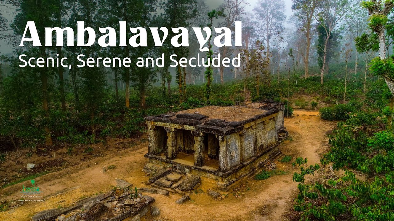 Visit a Village in Wayanad | Village Life Experience | Responsible Tourism