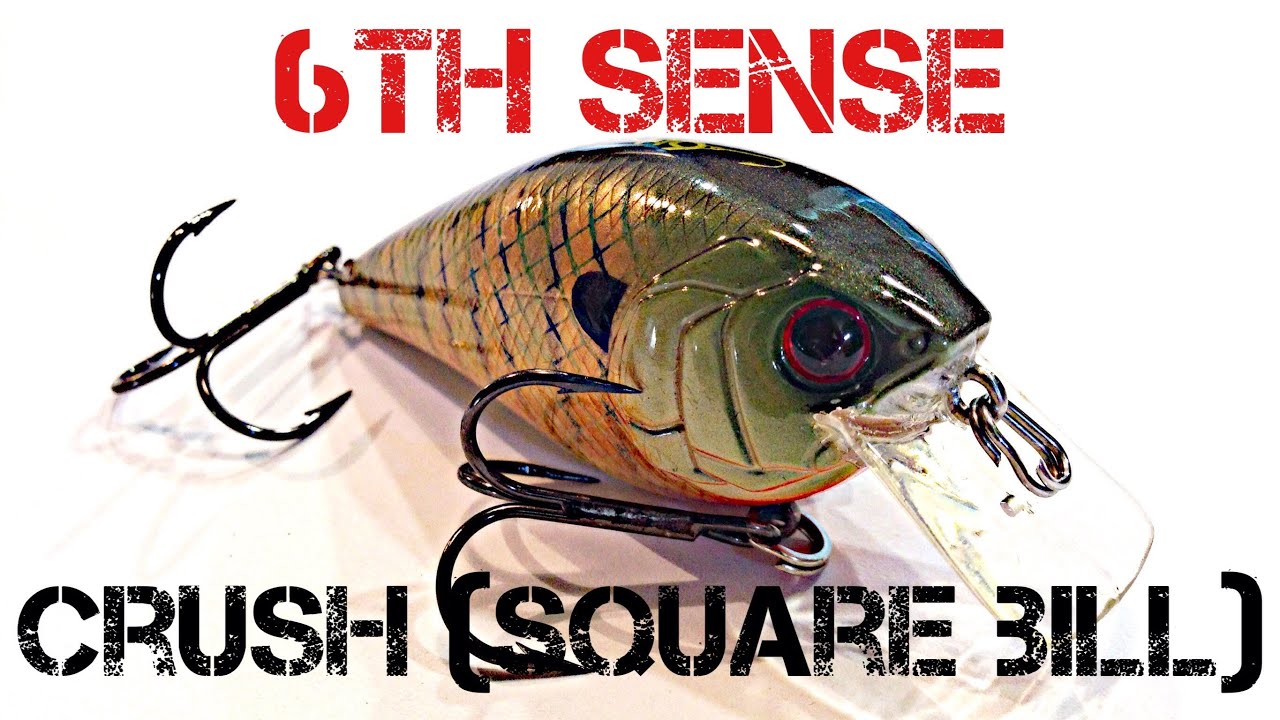 Lure Review- 6th Sense Crush (Square Bill)