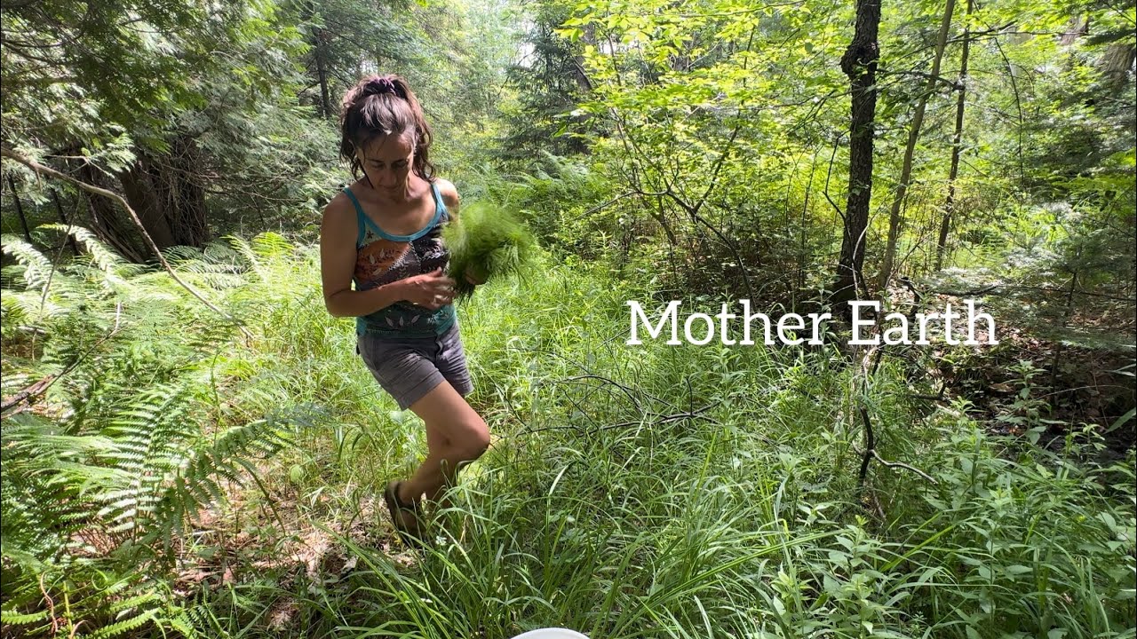 Feeding the Spirit: A Woman's Adventure in Wild Harvesting