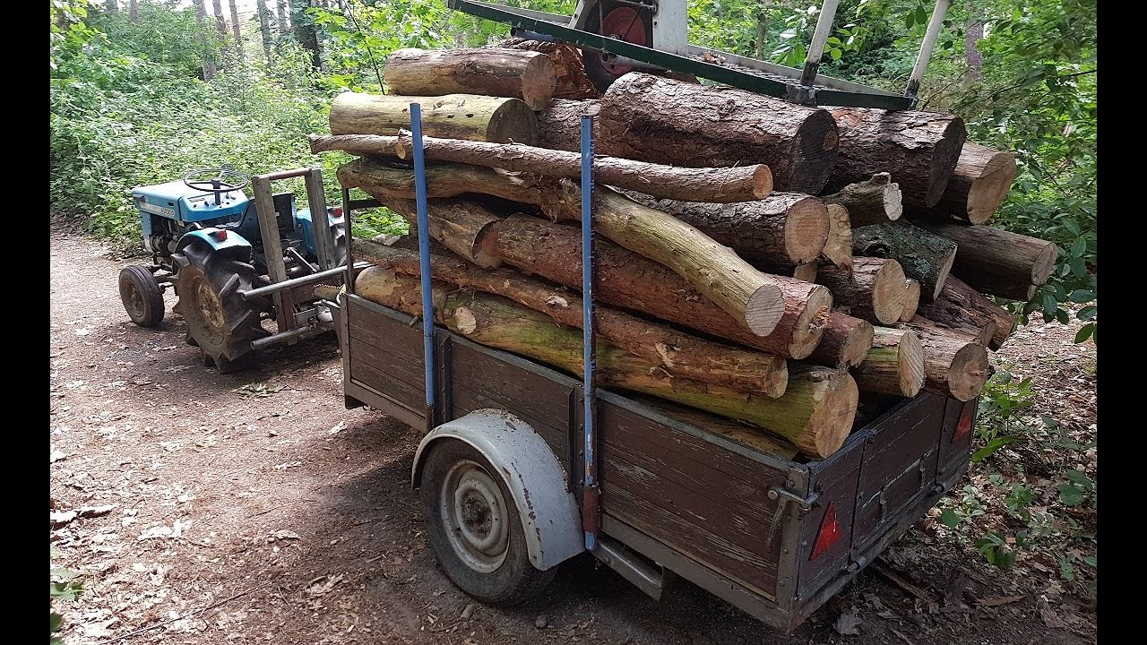 Tree logs saw for firewood DIY