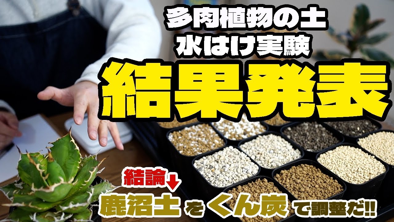 【鹿沼土が最速⁈】多肉植物用土の水はけスピードを比べてみた【赤玉|軽石|ゼオライト|パーライト| バーミキュライト| 富士砂など計10種】