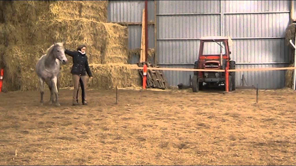 Friarbejde, basis og advanced øvelser