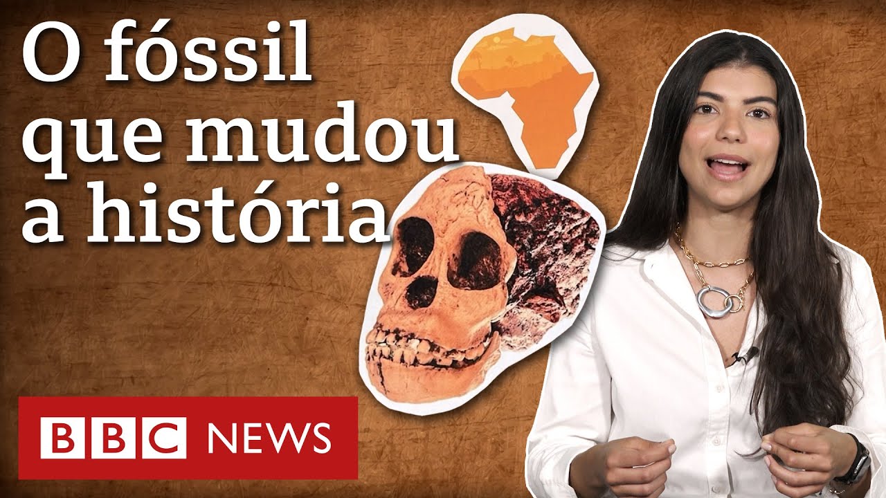 Evolução: a descoberta que provou que humanos vieram da África - e não da Europa