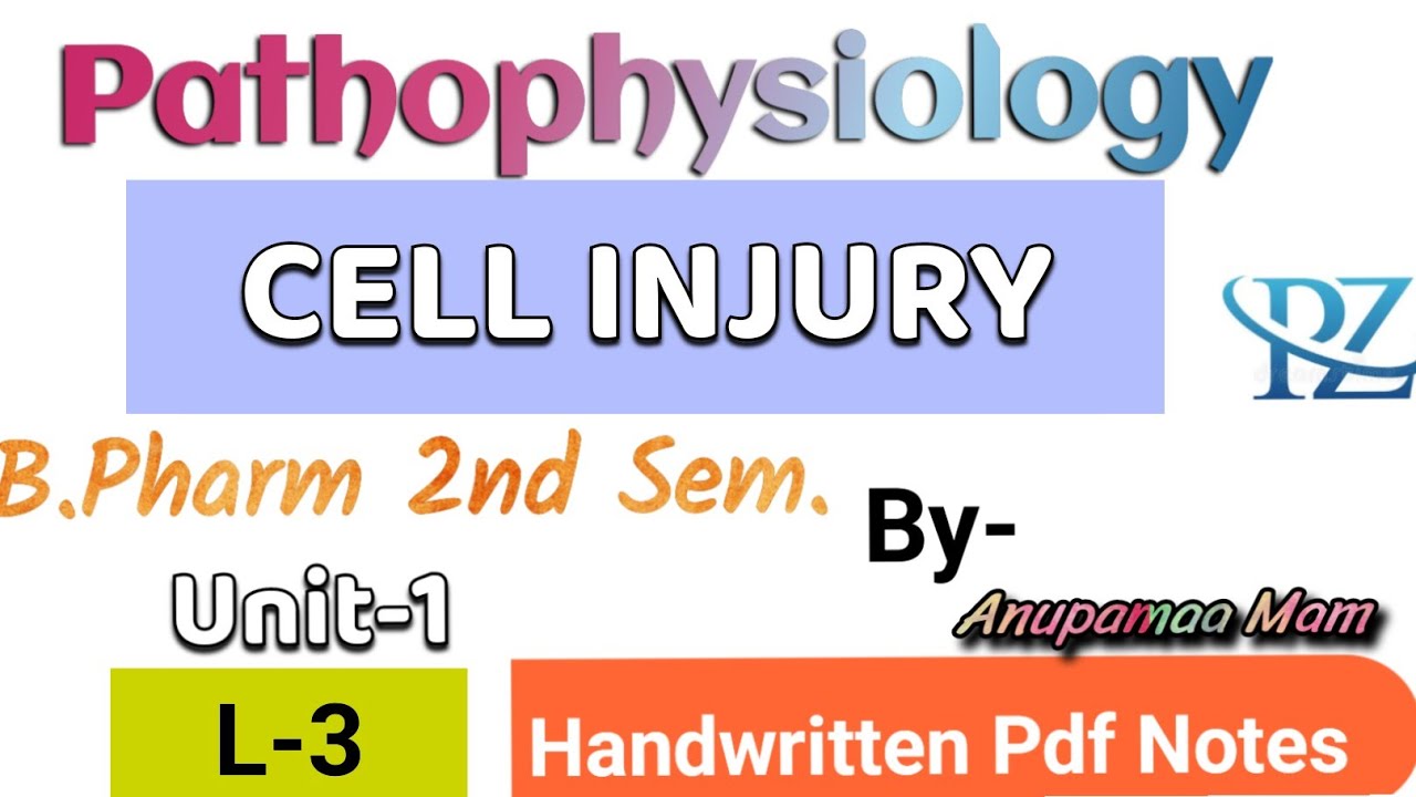 Cell Injury!! Introduction, Types, Causes!! Pathophysiology!!B.Pharm 1st Sem