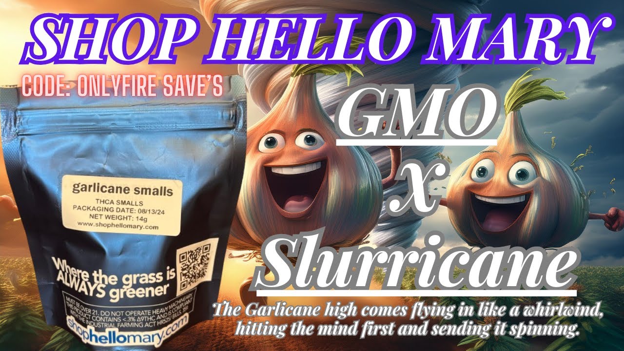 Trying Shop Hello Mary Garlicane Smalls THCa Review
