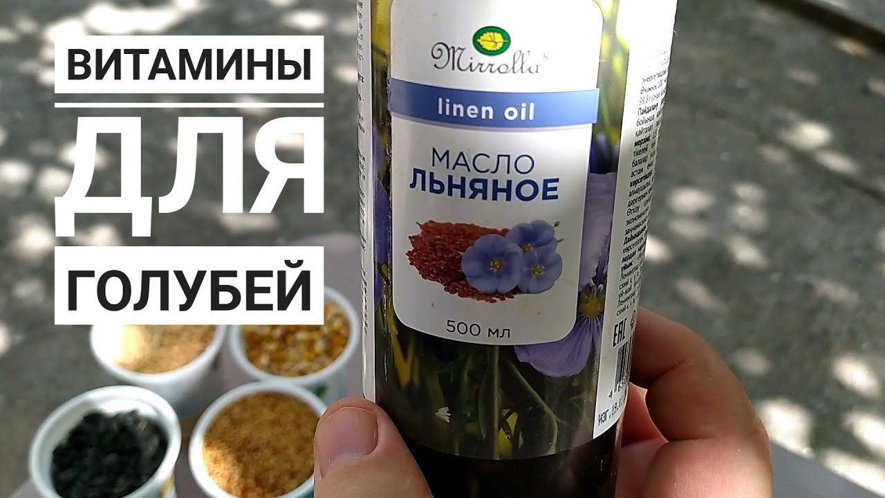 Витамины для голубей. Бойные голуби. 03.09.21 Грузия .Тбилиси