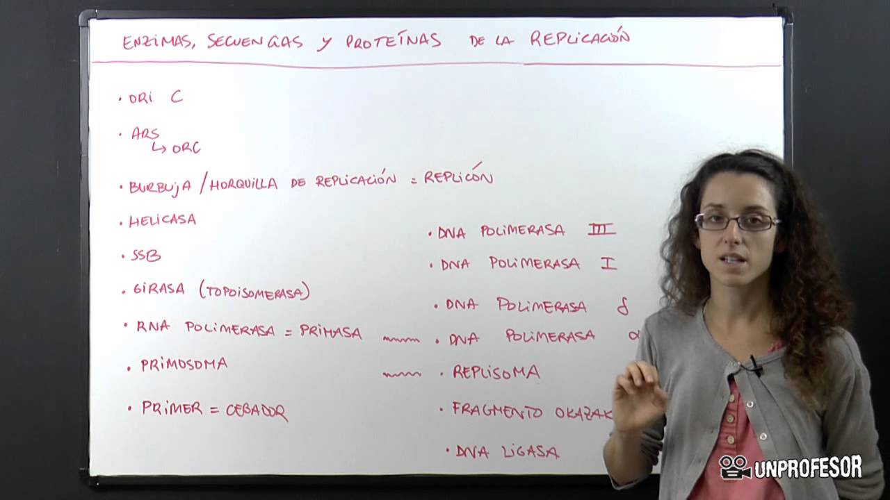 Secuencias, enzimas y proteínas implicados en la replicación