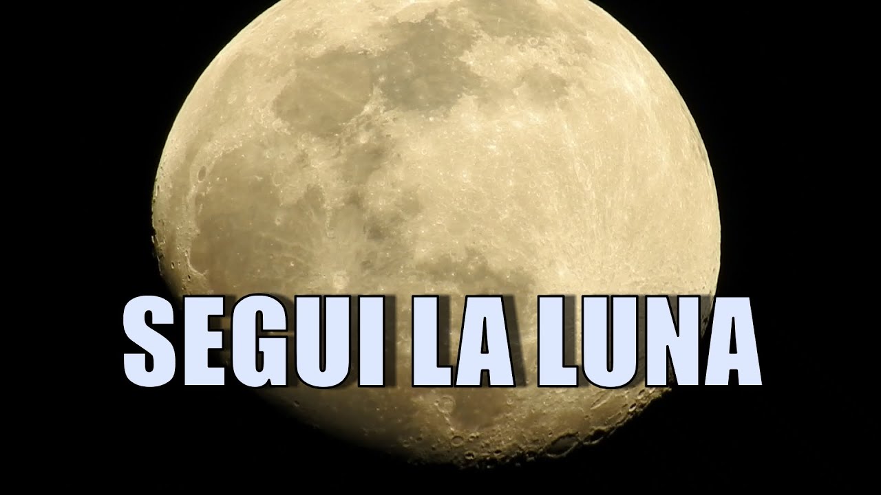 DECOTTO di EQUISETO: ISTRUZIONI per l'uso