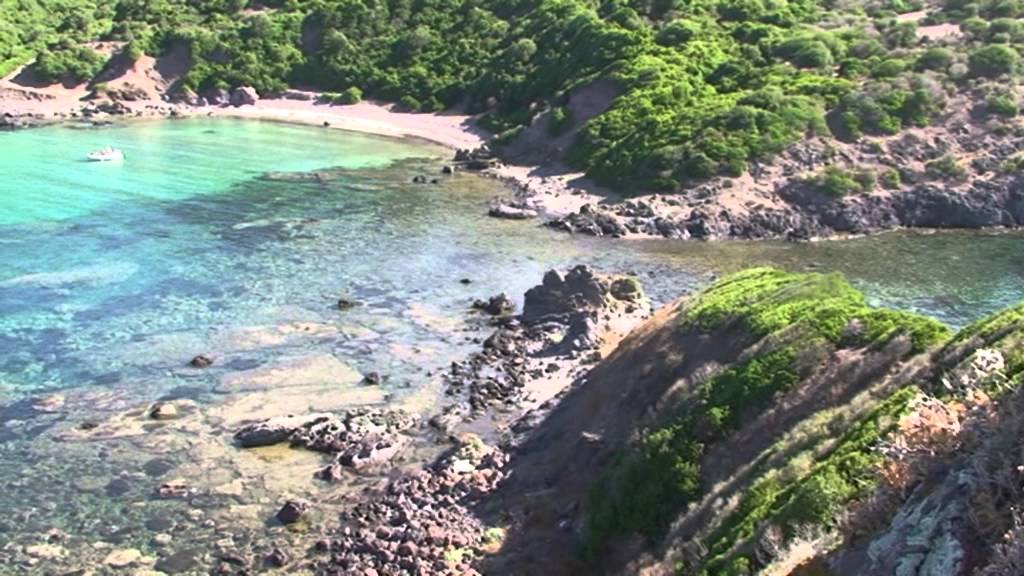 Volo con i grifoni a Bosa Sardegna