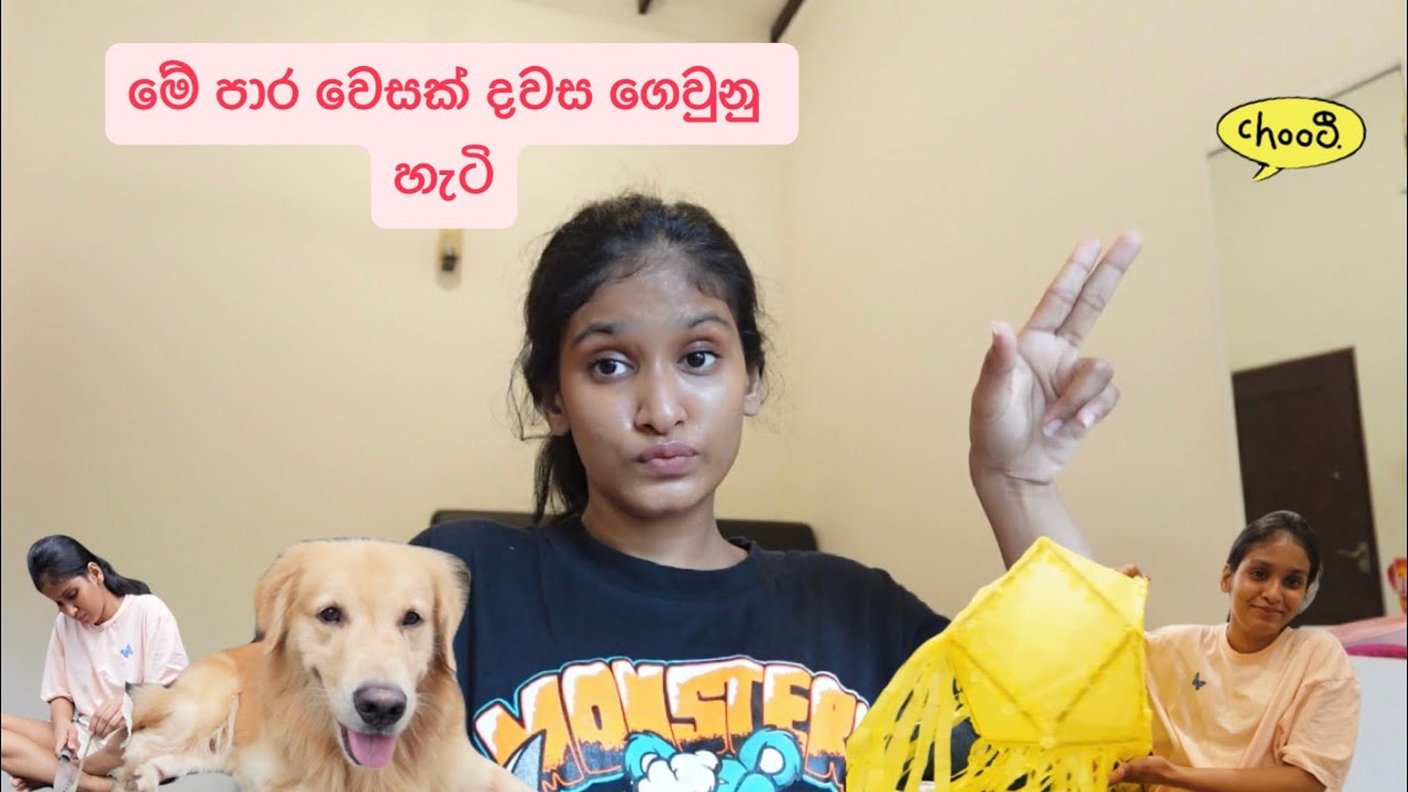 මේ පාරනම් අක්කයි මමයි දන්සල් වදින්න ගියා..🥰😁මගේ වෙසක් කුඩුව කොහොමද?🫠