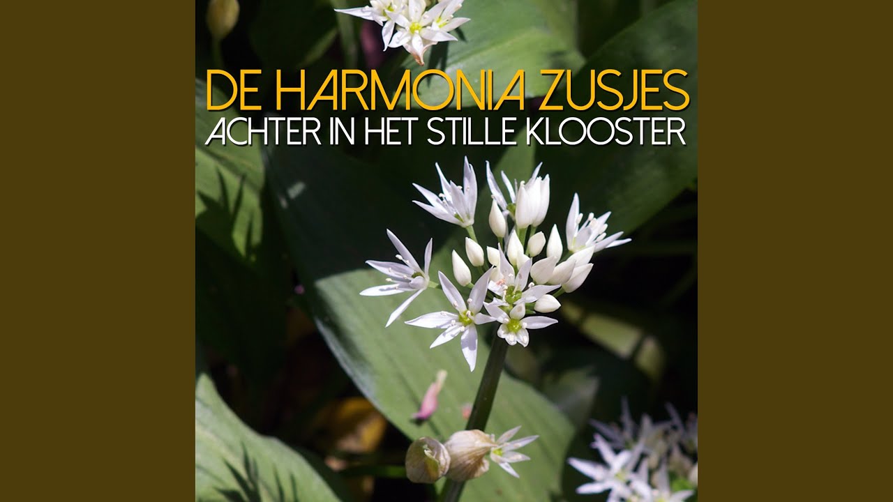 Achter In Het Stille Klooster
