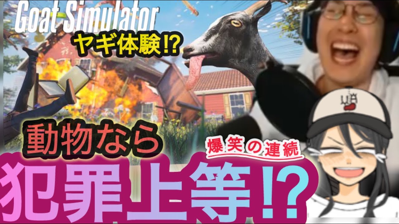 【GoatSimulator/顔出し】大爆笑の連続！えび＆うおがヤギになって暴れる！初見さん歓迎！コメント大歓喜  #goatsimulator  #goatsimulator3 #朝活#shorts