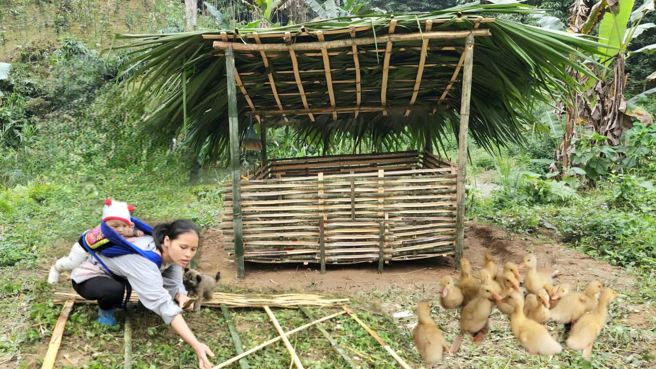 Single mother cares for and builds a duck coop out of bamboo | Peaceful rural life.