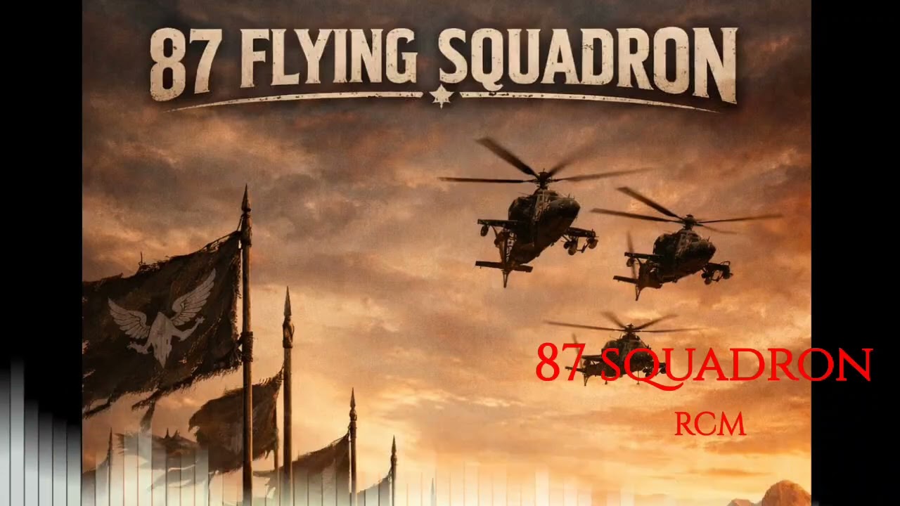 87 Flying Squadron 