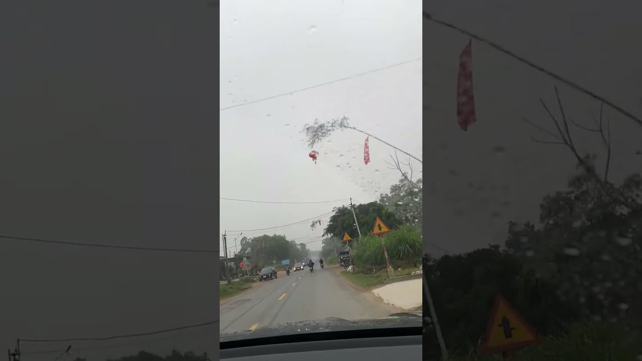 Road Home for Lunar New Year