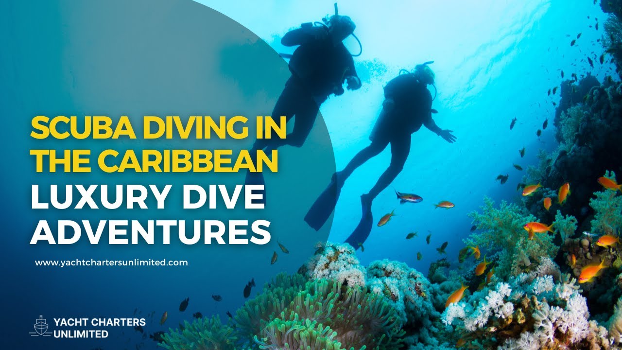 Scuba Diving in the Caribbean: Luxury Dive Adventures by Yacht or Catamaran