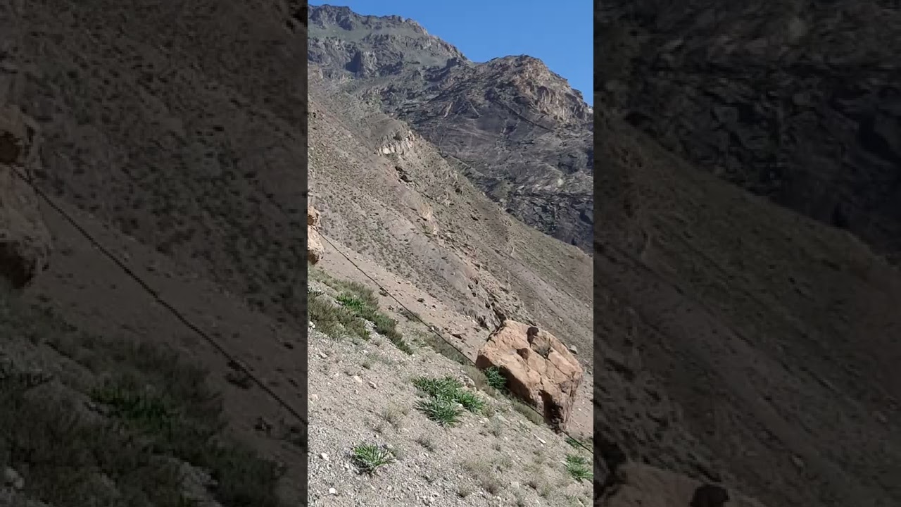 Манзарахои Сарвода