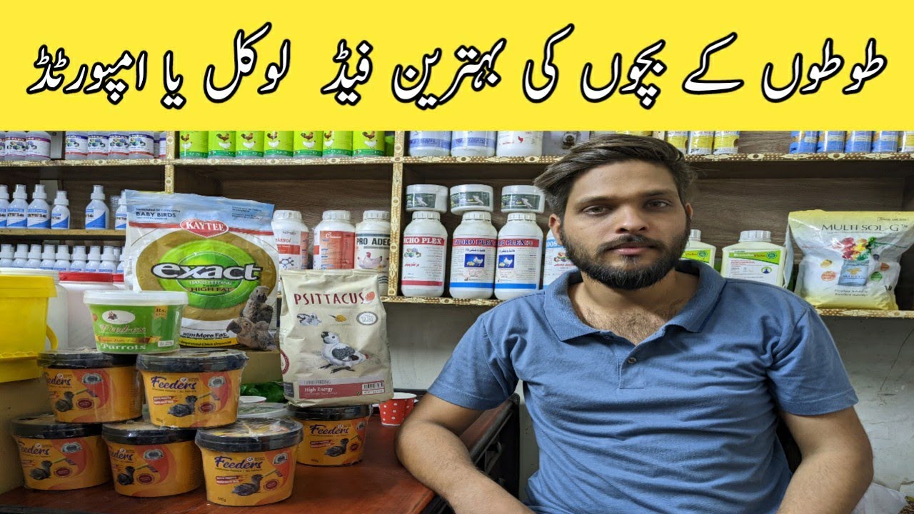 Parrot Babies Chick's Feed ||Birds Medicine Shop in Karachi ||B4BIRDS