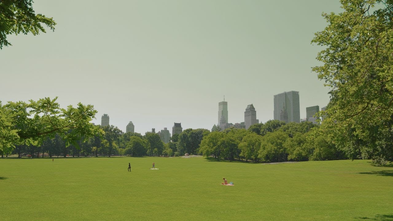 봄에 듣기 좋은 노래 추천  설레는 봄 감성 플레이리스트