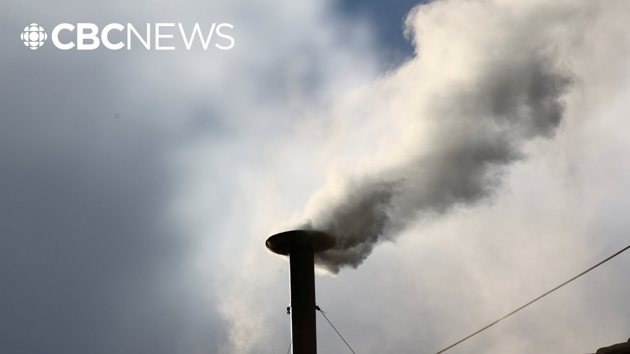 See the moment white smoke emerges at Sistine Chapel