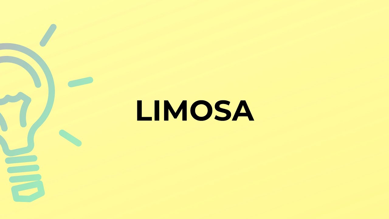 What is the meaning of the word LIMOSA?
