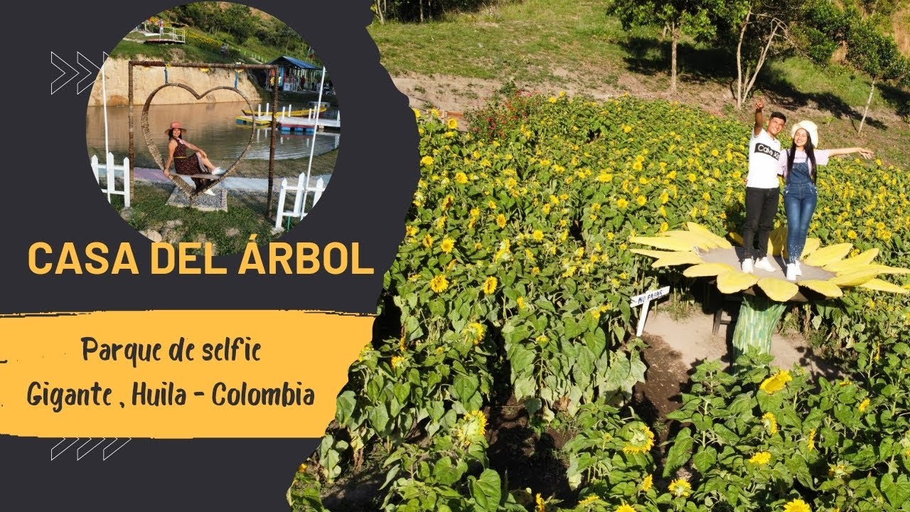 La casa del árbol | Parque de selfie de Gigante, Huila - Colombia