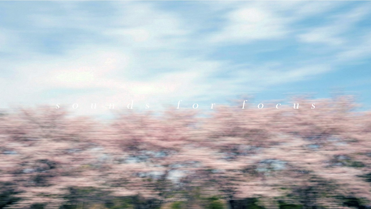 [Playlist] 벚꽃잎이 날리는 바람을 맞으며 달리고 싶은 기분 | 2000년대 감성 로맨틱 스프링 시티팝 플레이